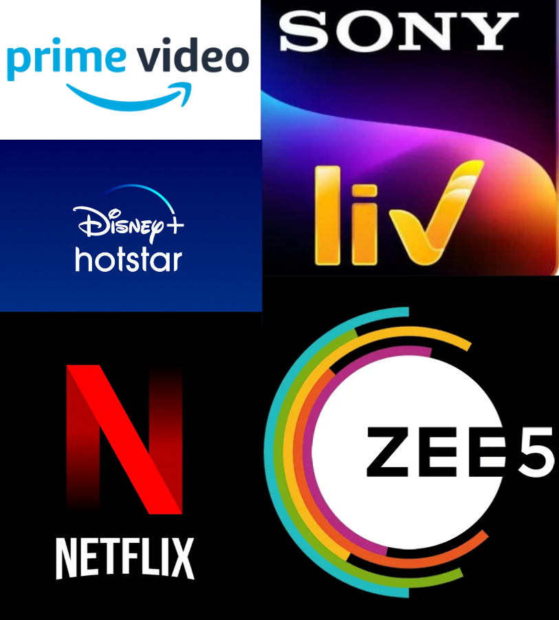 Netflix Zee5 Sony Liv Prime Video Disney Hotstar Shared & Private 5 in 1 Combo